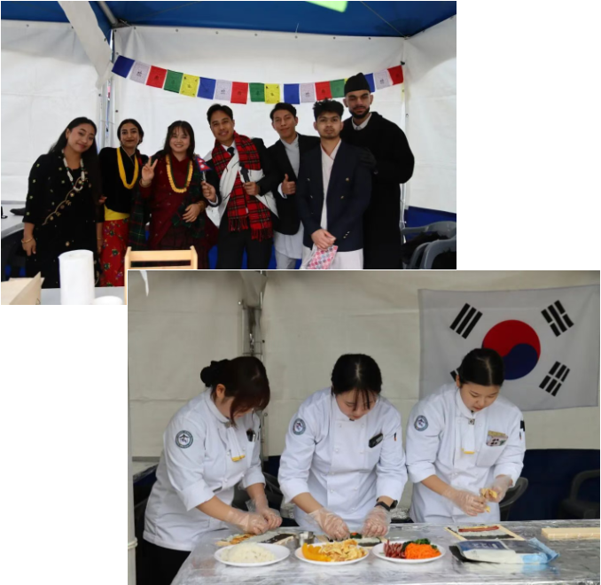 从美食到文化：带你沉浸式体验又松国际文化博览会